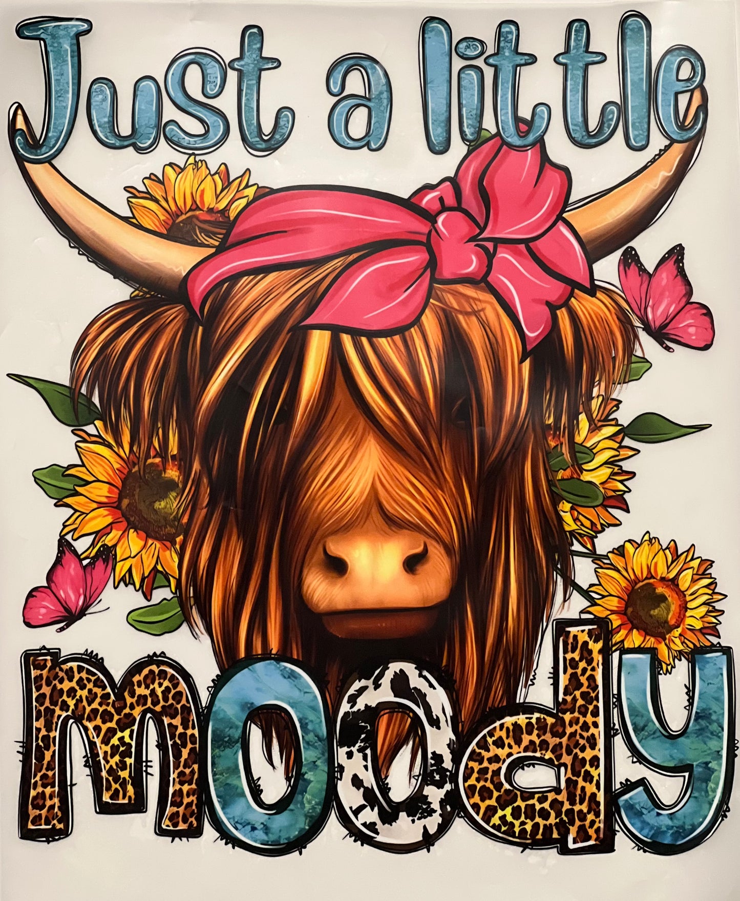 Just a Little Moody HTV Print Transfer