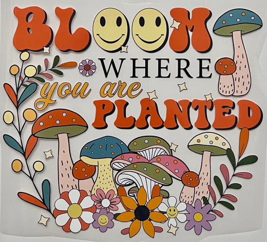 Bloom Where You Are Planted HTV Print Transfer